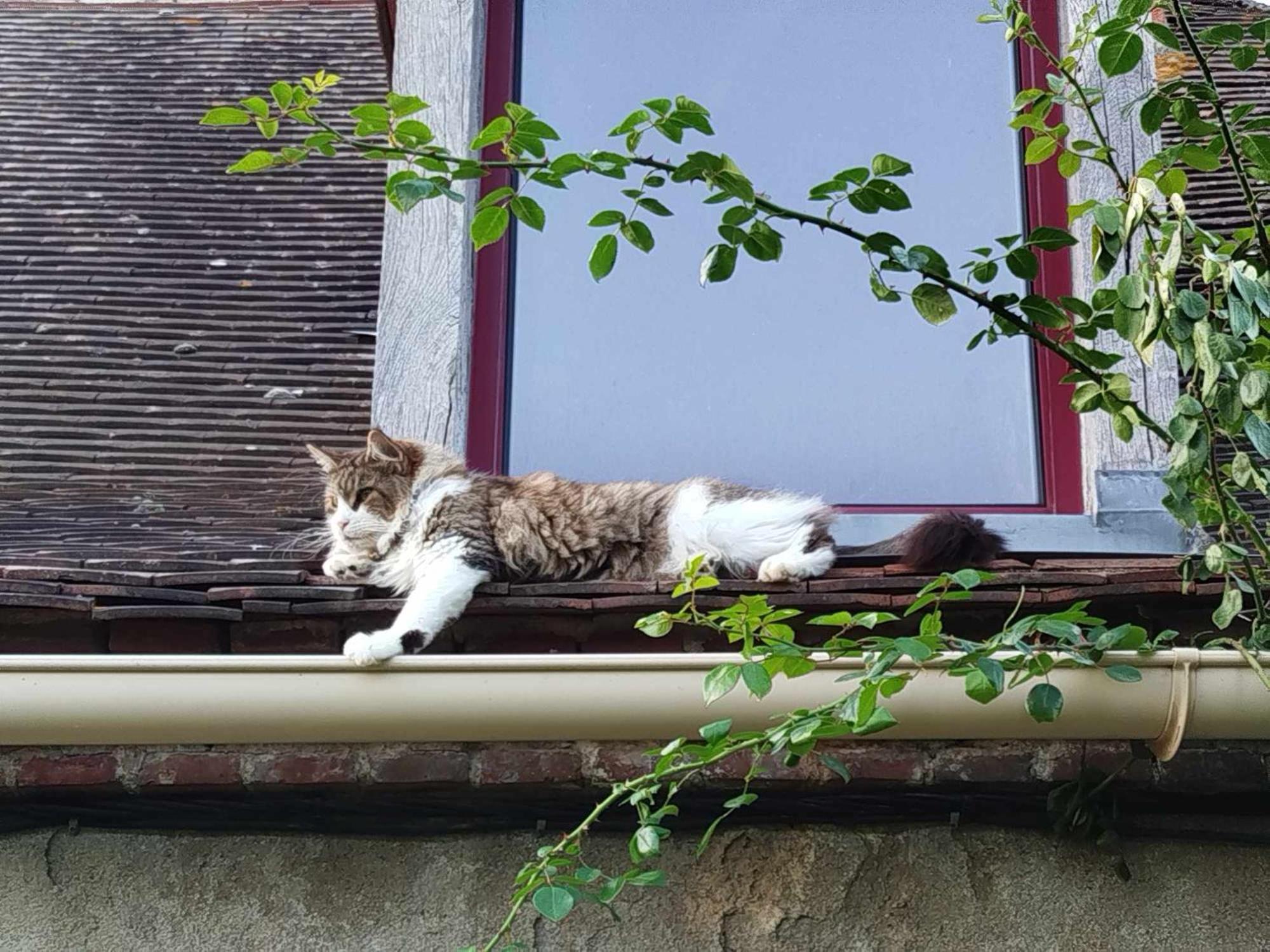 Gite Des Fours Agonges Exterior photo